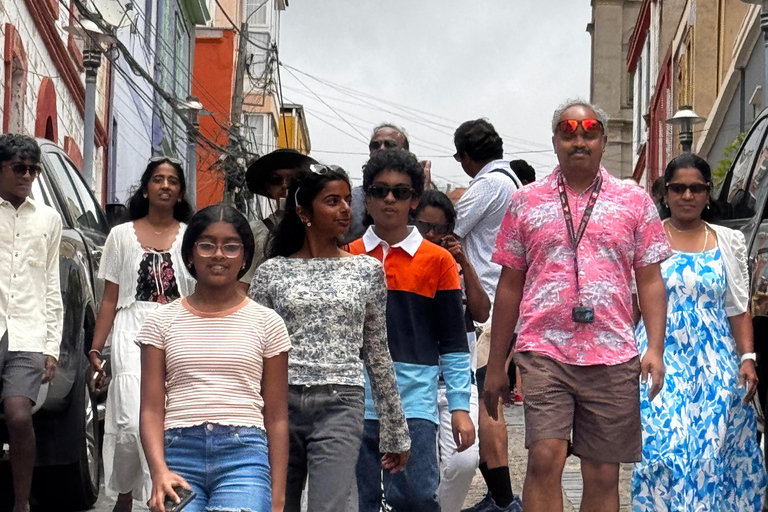 Viña del Mar and Valparaiso: Private Tour