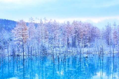 Van Sapporo: dagtour door Winter Wonderland Regio Hokkaido