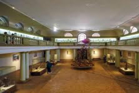 Nairobi: National Museum & Snake Park Guided Tour