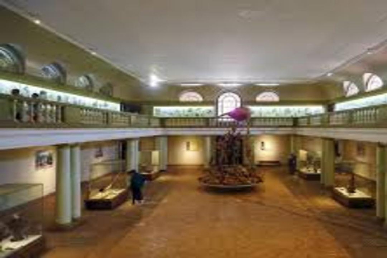 Nairobi: National Museum & Snake Park Guided Tour