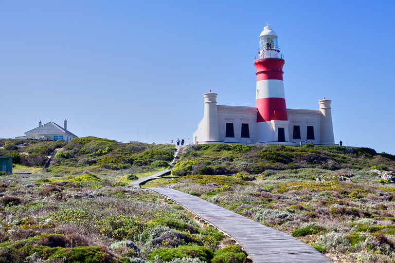 From Cape Town: 3-Day Garden Route Safari and Coastal Tour