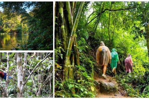 Van Colombo-Negombo-Bentota-Kalutara: Sinharaja-wandeling