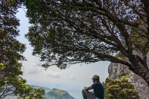 Da Kandy: escursione alle cime gemelle di Kanawiddagala e YahangalaDa Kandy: escursione alle due cime gemelle di Kanawiddagala e Yahangala