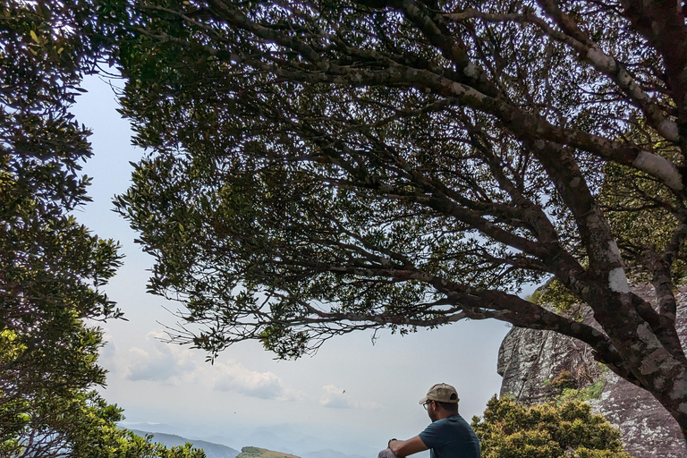 Da Kandy: escursione alle cime gemelle di Kanawiddagala e YahangalaDa Kandy: escursione alle due cime gemelle di Kanawiddagala e Yahangala