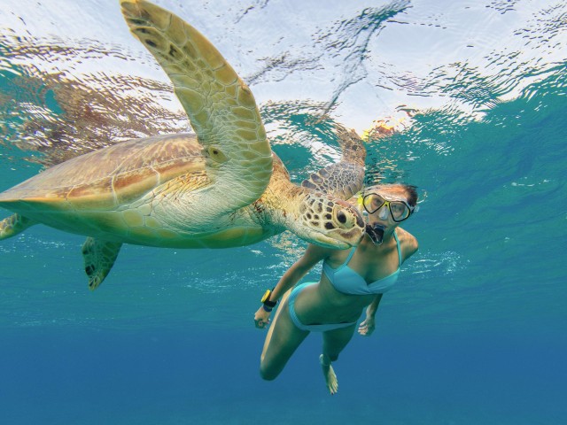 Visit Honolulu Snorkel with Turtles, Water Scooter, Paddleboard in Waikiki