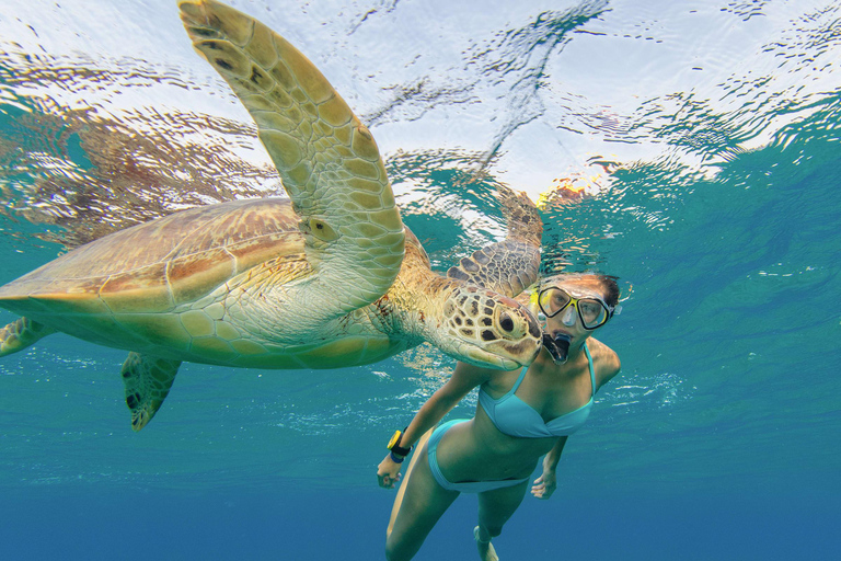 Honolulu: Snorkelen met schildpadden, waterscooter, paddleboardOahu: Snorkelen met schildpadden, waterscooter, paddleboard