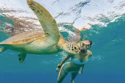 Oahu Snorkeling with Turtles, Water Scooter, Paddleboard