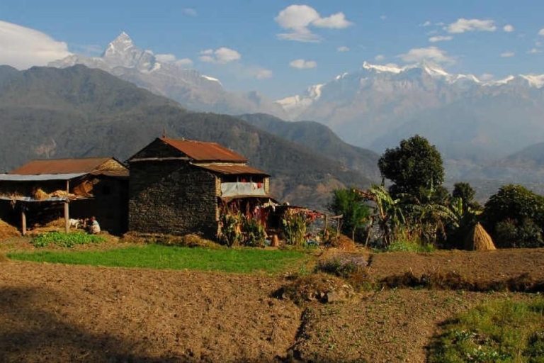 Dhampus Sarangkot Trek: 3-daagse trektocht rond de Pokhara ValleiDhampus Sarangkot Trek: 3 Dagen Familie Korte Gemakkelijke Trek