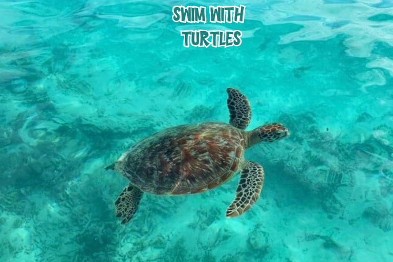 Île Maurice : excursion en hors-bord vers les 3 îles du Nord avec barbecue