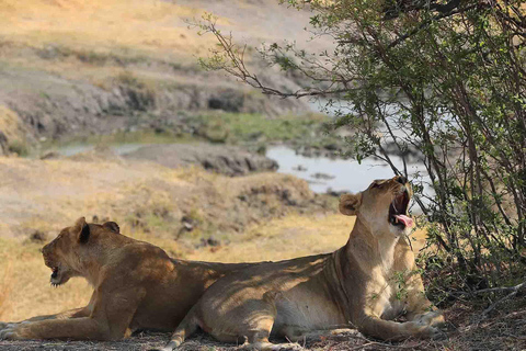Zambezi National Park: Extended Game Drive With Snacks
