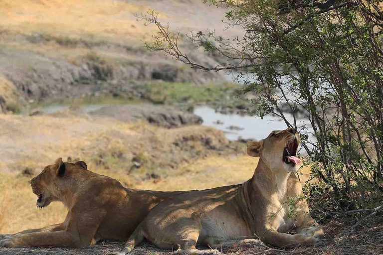 Zambezi National Park: Extended Game Drive With Snacks