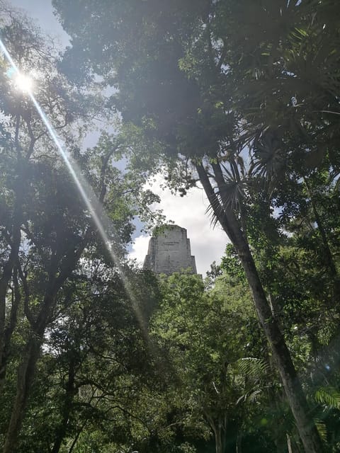 Vanuit Flores Tikal Priv Dagtour Exclusief Getyourguide