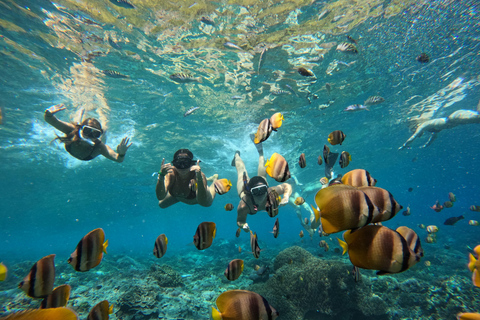 Nusa Penida: Snorkeling Tour to Manta Point or Manta Bay Shared Snorkeling Manta Point Meet us in Nusa Penida