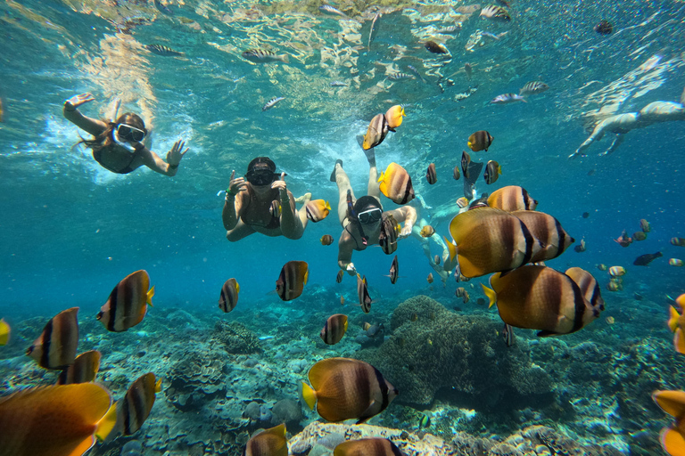 Nusa Penida: Snorkeling Tour to Manta Point or Manta Bay Shared Snorkeling Manta Point Meet us in Nusa Penida