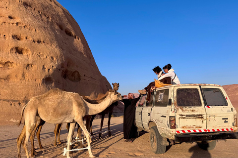 Wadi Rum: 4-Hour Jeep Tour with 1-Night Desert Camp & Meals