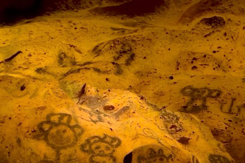 La Romana Half-Day Small Group Tour: Cave, Maze & Culture