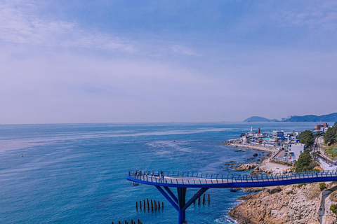 Busan Coastal Tour: Yonggungsa, Cruise & Gamcheon