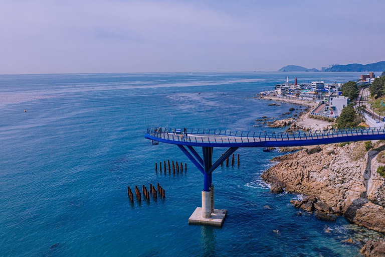 Busan Coastal Tour: Yonggungsa, Cruise & Gamcheon