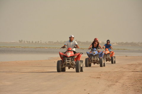 Quad and Dromedary Adventure: Half-day of Escape and Sensations