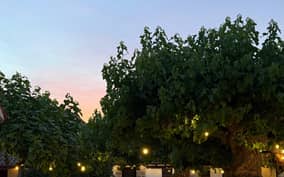  - PalermoHotel.it
