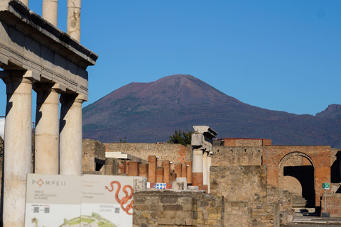 From Sorrento: Pompeii Skip-the-Line, Train Tkt & Tour From Sorrento: Pompeii entrance, Train Tkt & Spanish Tour