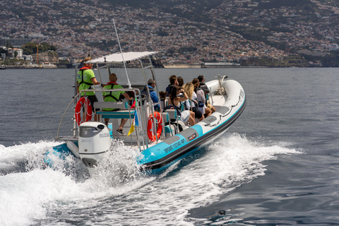Funchal: Fireworks by Boat - New Years Eve