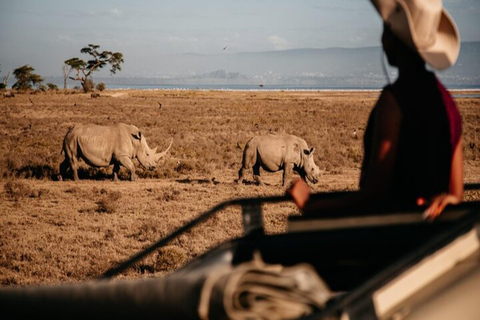 Nairobi: 2-dniowe safari na ranczu Solio z zakwaterowaniem