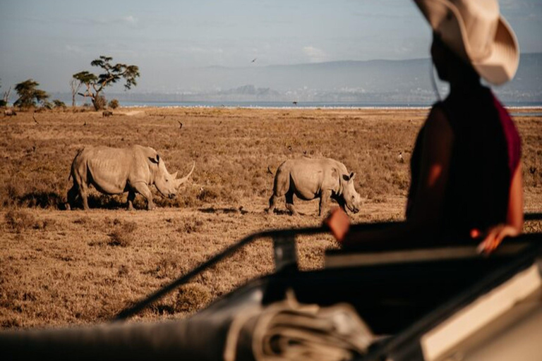 Nairobi: 2-dniowe safari na ranczu Solio z zakwaterowaniem