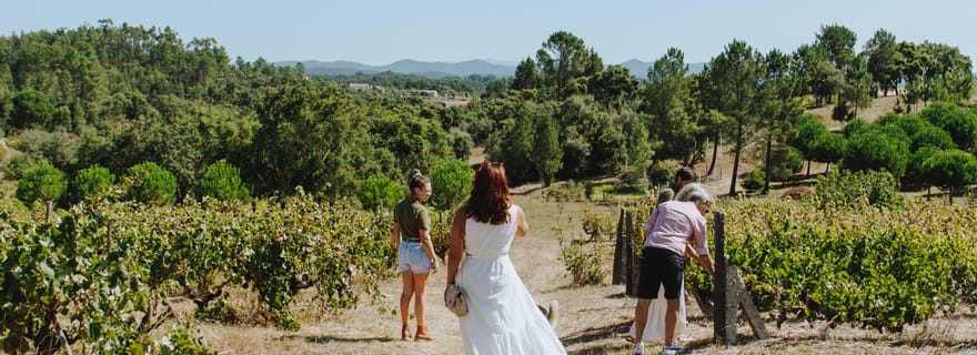 Tomar : Déjeuner dans les vignobles