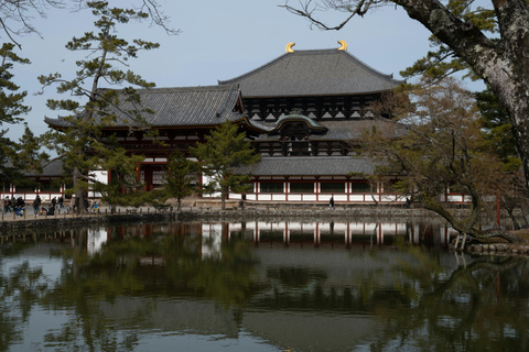Nara: Deer Park, Todaiji Temple, & Great Buddha Walking Tour Private Tour