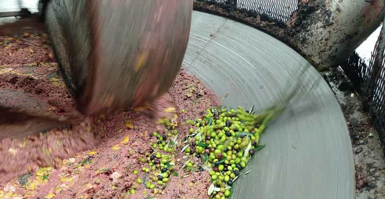 Ombrie : visite guidée d'un moulin à huile traditionnel + dégustation