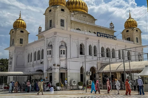 Delhi: Old and New Delhi Private Full or Half-Day Tour