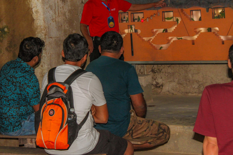 Excursion d'après-midi dans les tunnels de Cu ChiExcursion d'après-midi avec guide anglais