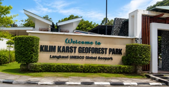 Langkawi: Mangrove Safari Group with Lunch