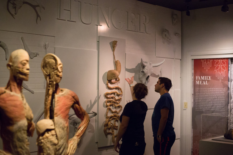 Las Vegas: REAL BODIES at Horseshoe Las Vegas Entry Ticket REAL BODIES Entry Ticket - Peak 7$ OFF