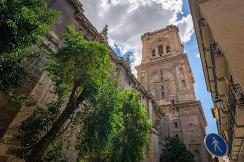 Best of Granada: Private Walking Tour with a Local Private City Tour - 6Hr