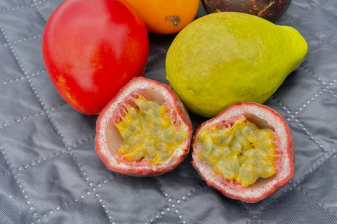 Bogota: Sky-High picnic on Bogota's highest helipad PRIVATE: Sky-High picnic on Bogota's highest helipad