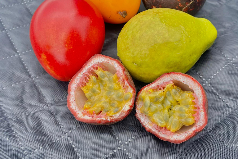 Bogota: Sky-High picnic on Bogota's highest helipad PRIVATE: Sky-High picnic on Bogota's highest helipad