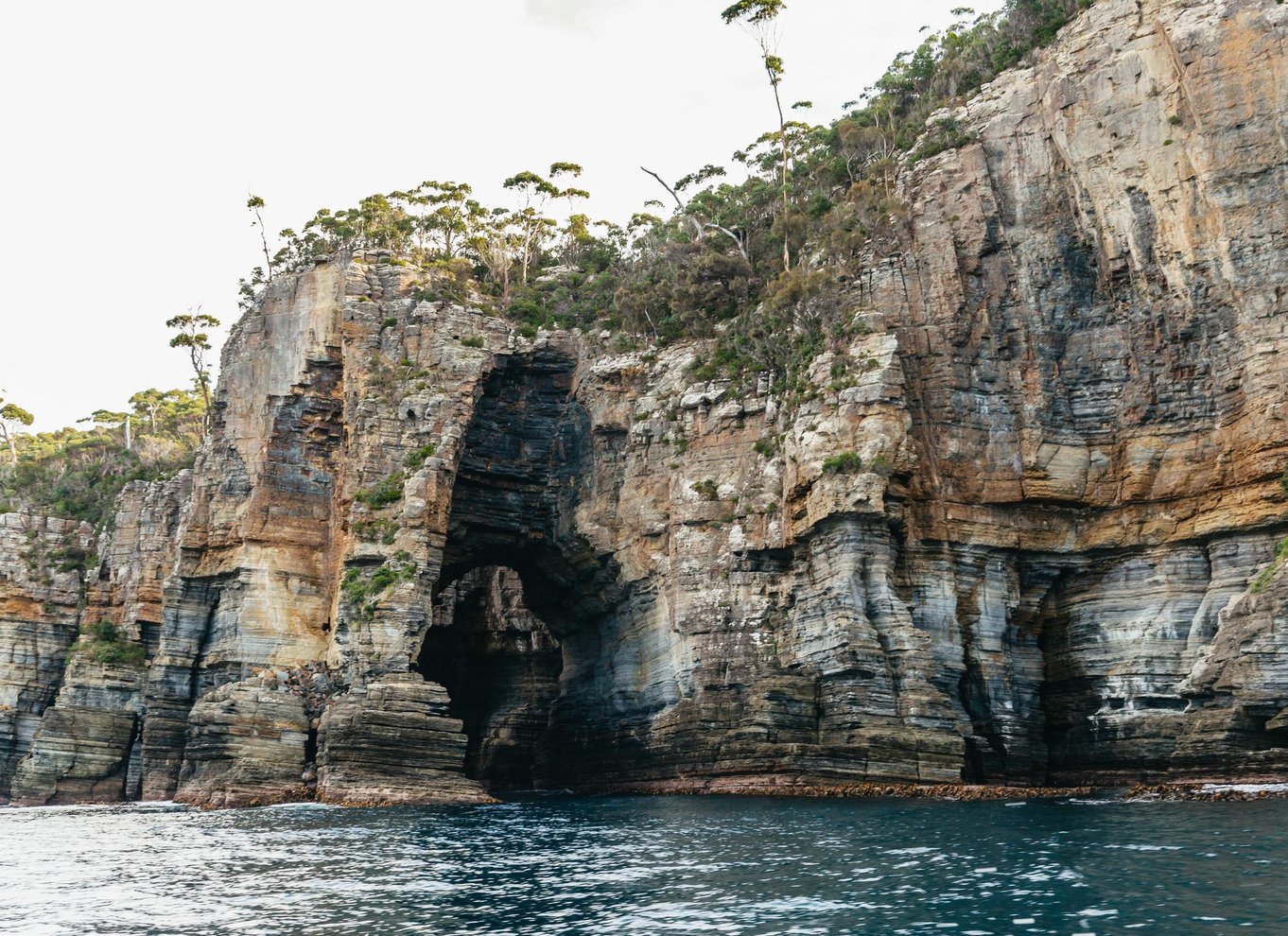 Fra Port Arthur: Tasman Island krydstogt i vildmarken