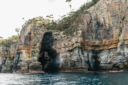 From Port Arthur: Tasman Island Wilderness Cruise | GetYourGuide