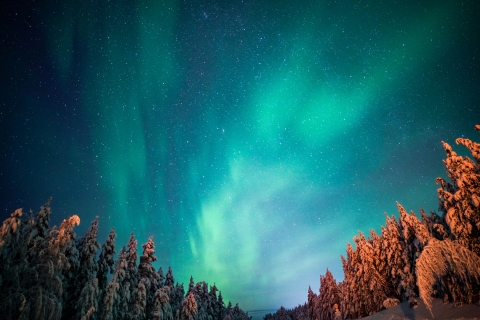 Familienfreundlich: Nordlicht-Abenteuer ab Rovaniemi