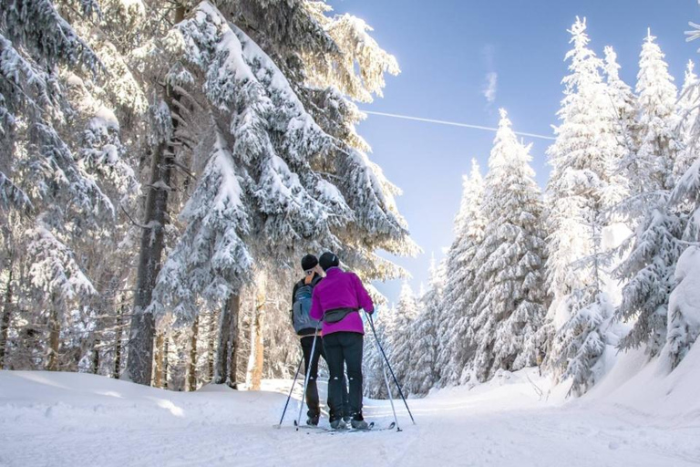 Vancouver: Whistler Day with Snowshoeing/Nordic Skiing