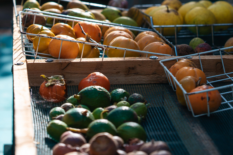 Agricultural Traditions and Local Flavors on Flores Island Agricultural Traditions and Local Flavors on Flower Island