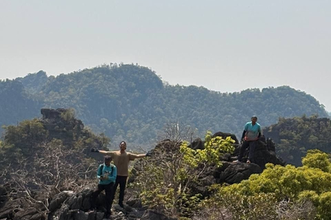 Langkawi: Kilim Geoforest Park Guided Jungle Trek