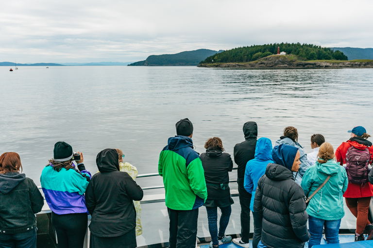 Vancouver: tour de medio día para avistar ballenas