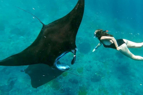 Nusa Penida: West & East with Snorkeling Option & Transfer Snorkeling & West Penida - Start from Bali