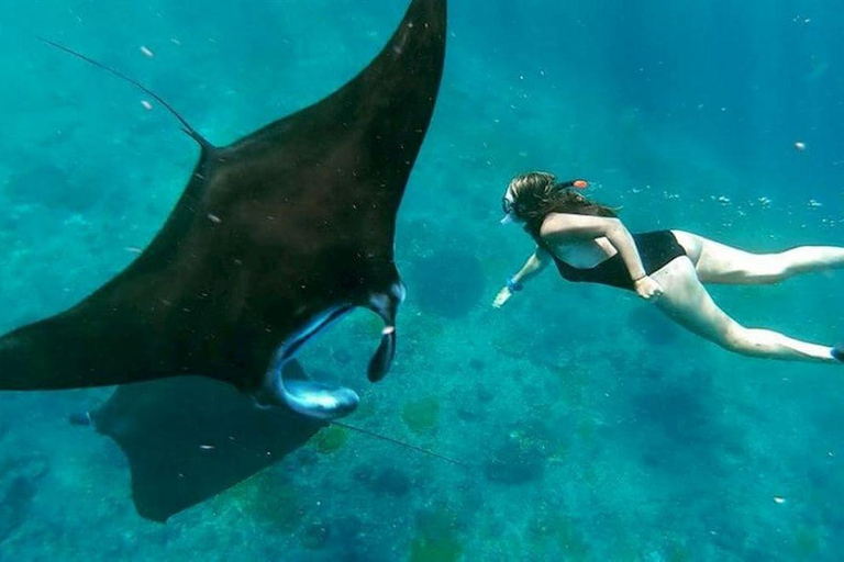 Nusa Penida: West & East with Snorkeling Option & Transfer Snorkeling & West Penida - Start from Bali