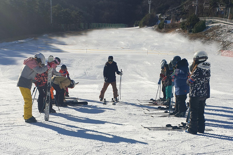 Da Seul: Tour sciistico in Corea - Jisan Forest ResortSnowboard &amp; Lift per principianti