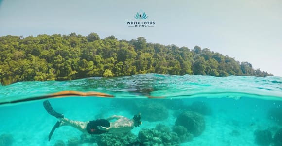 Phuket LGBTQ+ Friendly Scuba & Snorkeling Day Trip