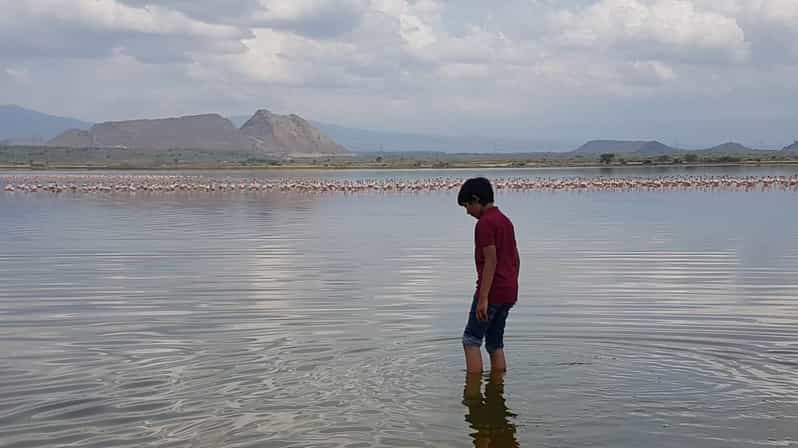 Galería de fotos para redes